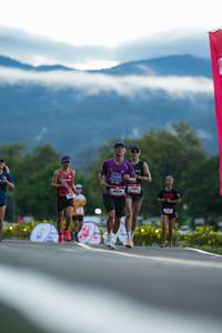 BIB: 
                            <button type="button" onclick="openModal(26557675)" class="btn btn-primary btn-sm float-right btn-popup" data-toggle="modal" data-target=".modal-high-quality">
                        <i class="fas fa-shopping-cart"></i> Add to Cart
                    </button>
                                            <button type="button" onclick="isThisMe(26557675, true)" class="btn btn-success btn-sm float-right btn-popup btn-isme hidden" data-toggle="tooltip" data-placement="bottom" title="นี่คือรูปของคุณใช่ไหม คลิกที่นี่เพื่อเอาเข้าอัลบั้ม">
                        <i class="fas fa-plus"></i> Add to album
                    </button>
                    <button type="button" onclick="isThisMe(26557675, false)" class="btn btn-warning btn-sm float-right btn-popup btn-isnotme hidden">
                        <i class="fas fa-ban"></i> Remove from album
                    </button>